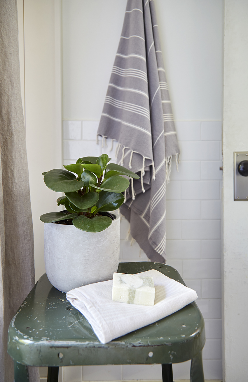 Toronto Interior Designer